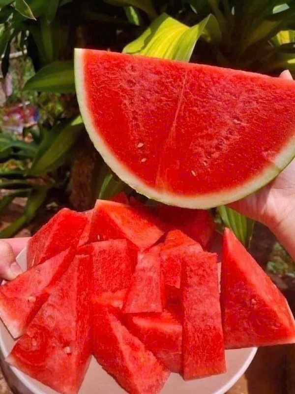 0d5c7c10e1bfc6592684d0b31dd8d3fd.jpg
