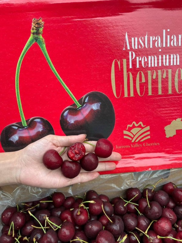 Cherry Simco Úc - hộp 500gr