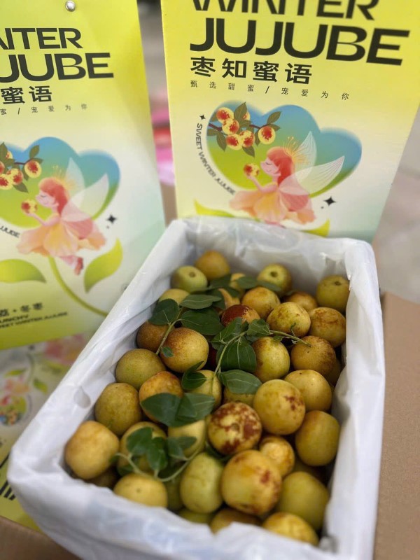 Hồng táo Jujuben - hộp 1.5kg