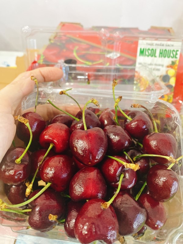 Cherry Chile Geofrut